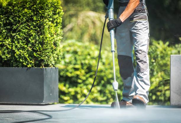 Best House Exterior Washing  in Flora, IL