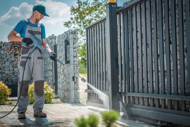Best Solar Panel Cleaning  in Flora, IL