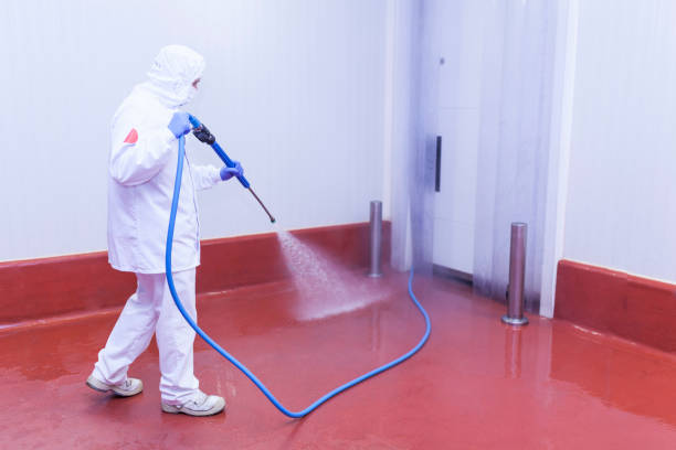 Best Factory Floor Cleaning  in Flora, IL