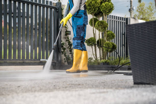 Best Dumpster Area Cleaning  in Flora, IL