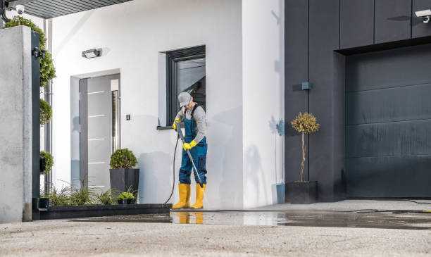 Best Animal Enclosure Cleaning  in Flora, IL
